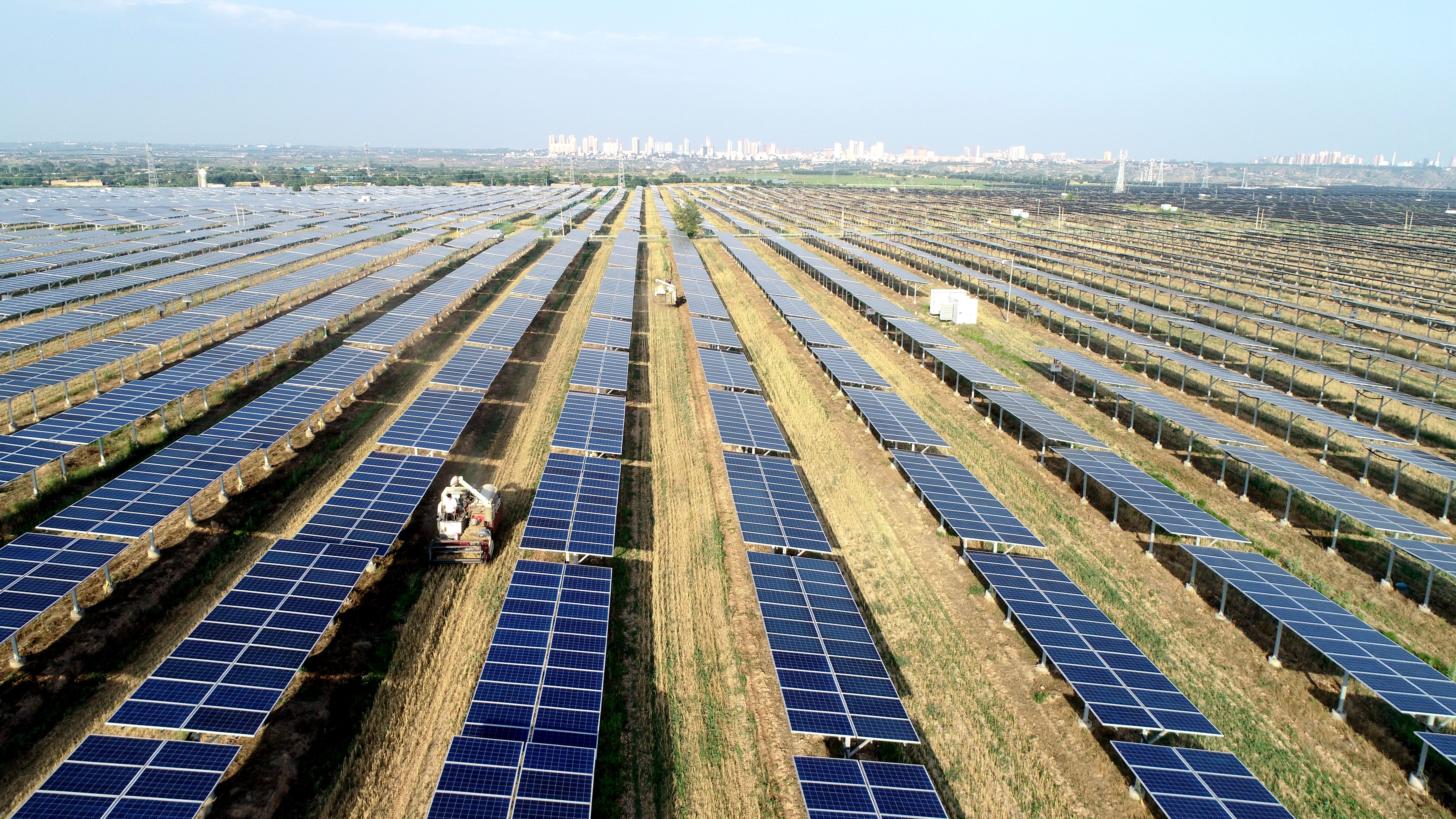 2.大唐澄城安里10萬千瓦農(nóng)光互補(bǔ)光伏電站采取“農(nóng)光互補(bǔ)”模式，不僅大大提高土地綜合利用率，還帶動(dòng)當(dāng)?shù)卮迕裨诩议T口就業(yè)，促進(jìn)農(nóng)民增收。任永紅攝 .jpg