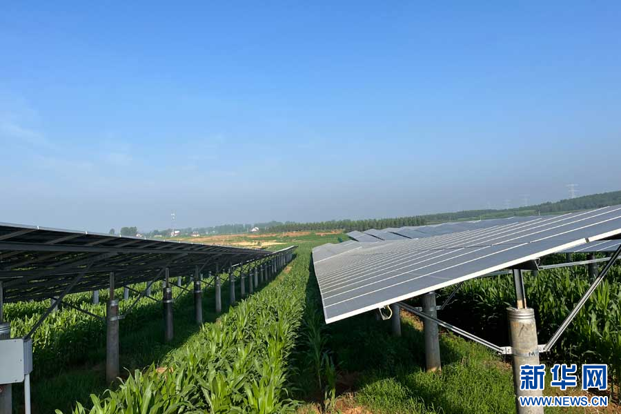 1688632480987020726.jpg 08d4207bf0ba4524bcffdef847358d12.jpg