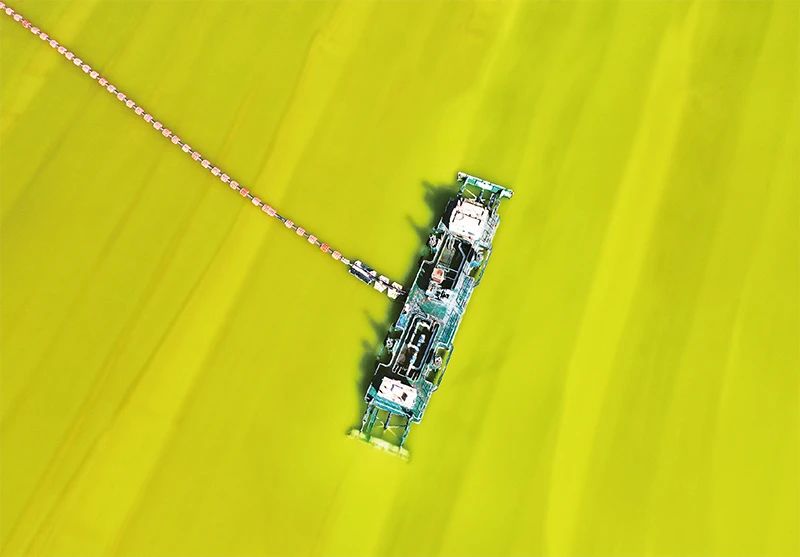 1713235852124000981.jpg 30547356.jpg