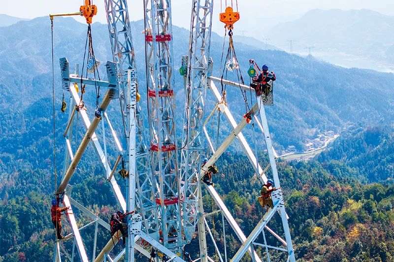 1713235883190031818.jpg 30547357.jpg