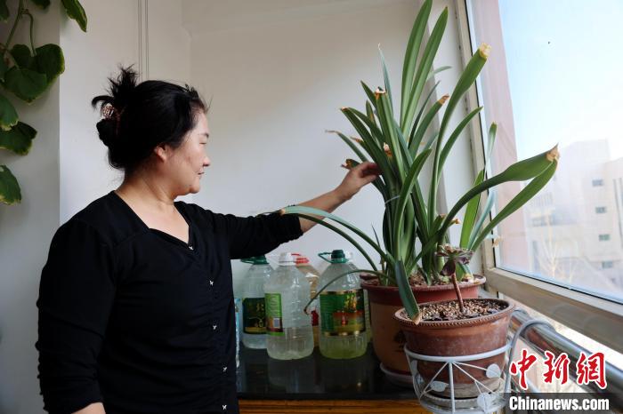 1731890946471007126.jpg 3.jpg